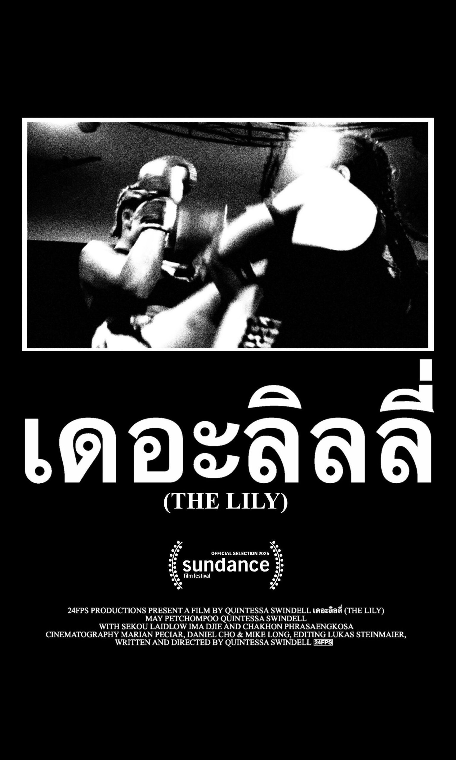 The Lily