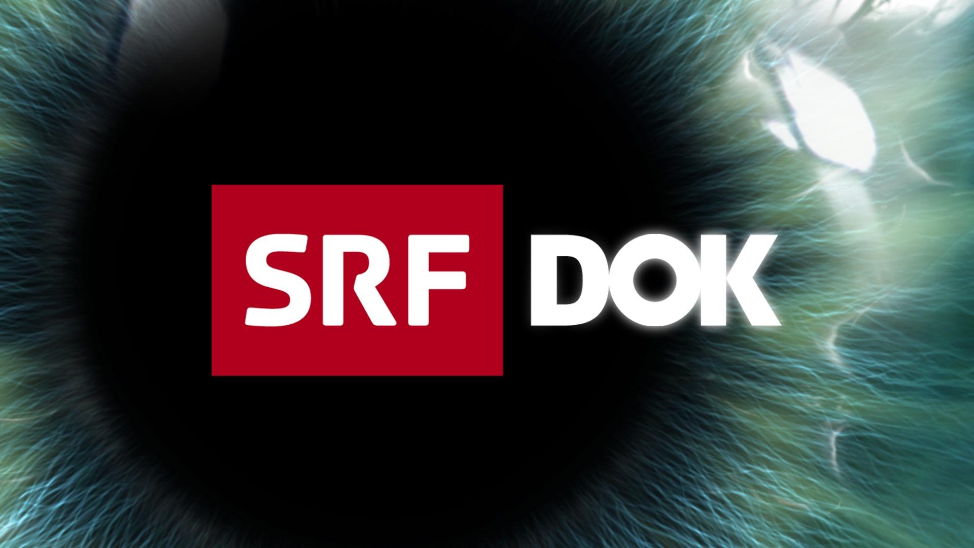 SRF DOK