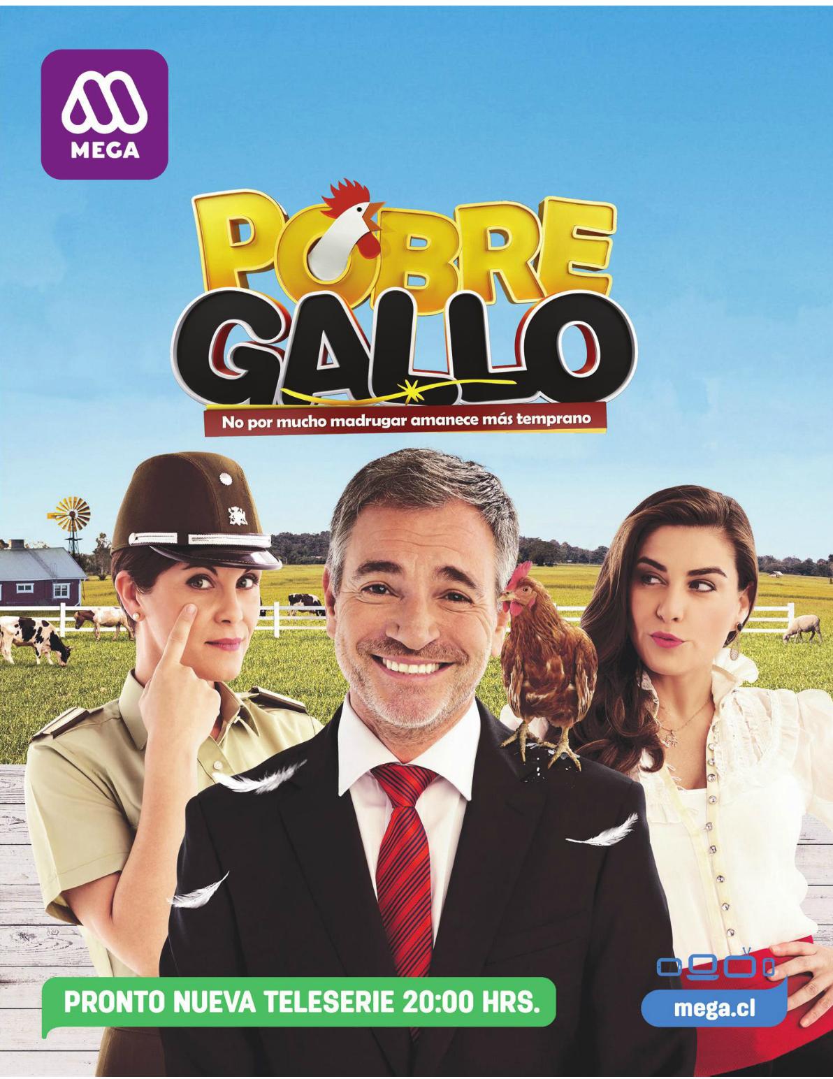 Pobre Gallo