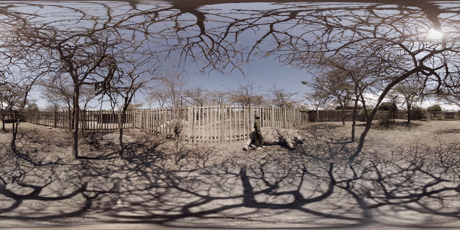 The Ark VR