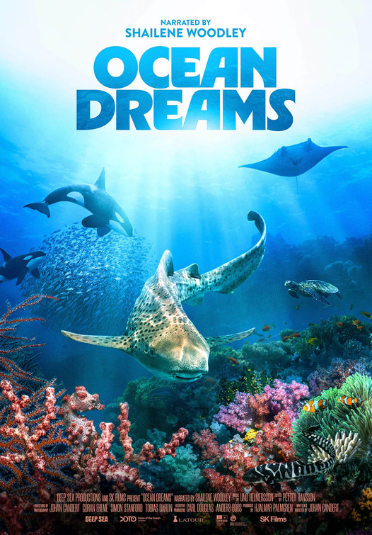 Ocean Dreams