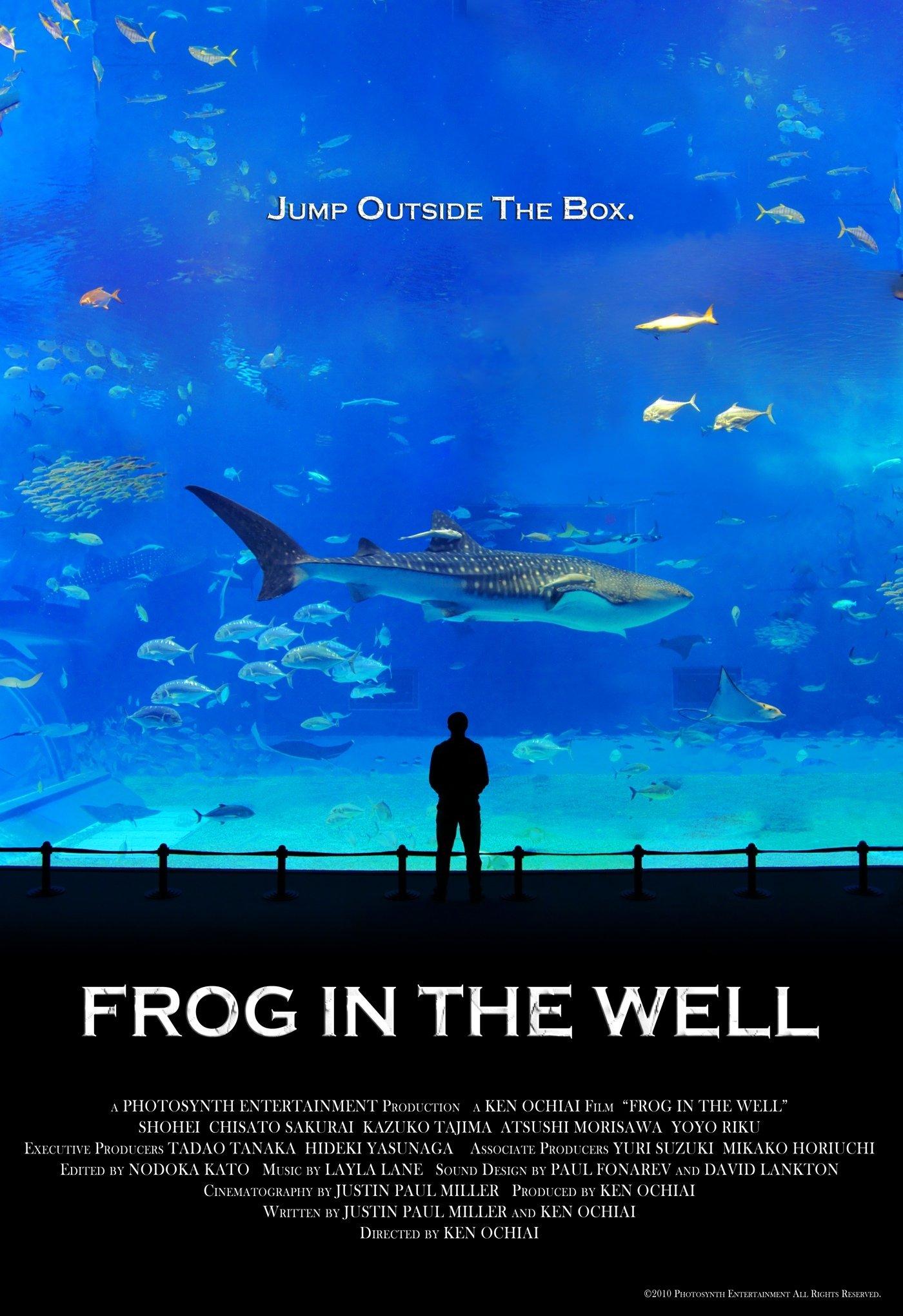 Frog in the Well