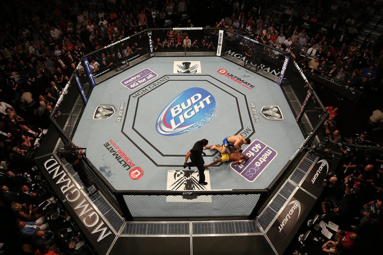 FightZone Presents