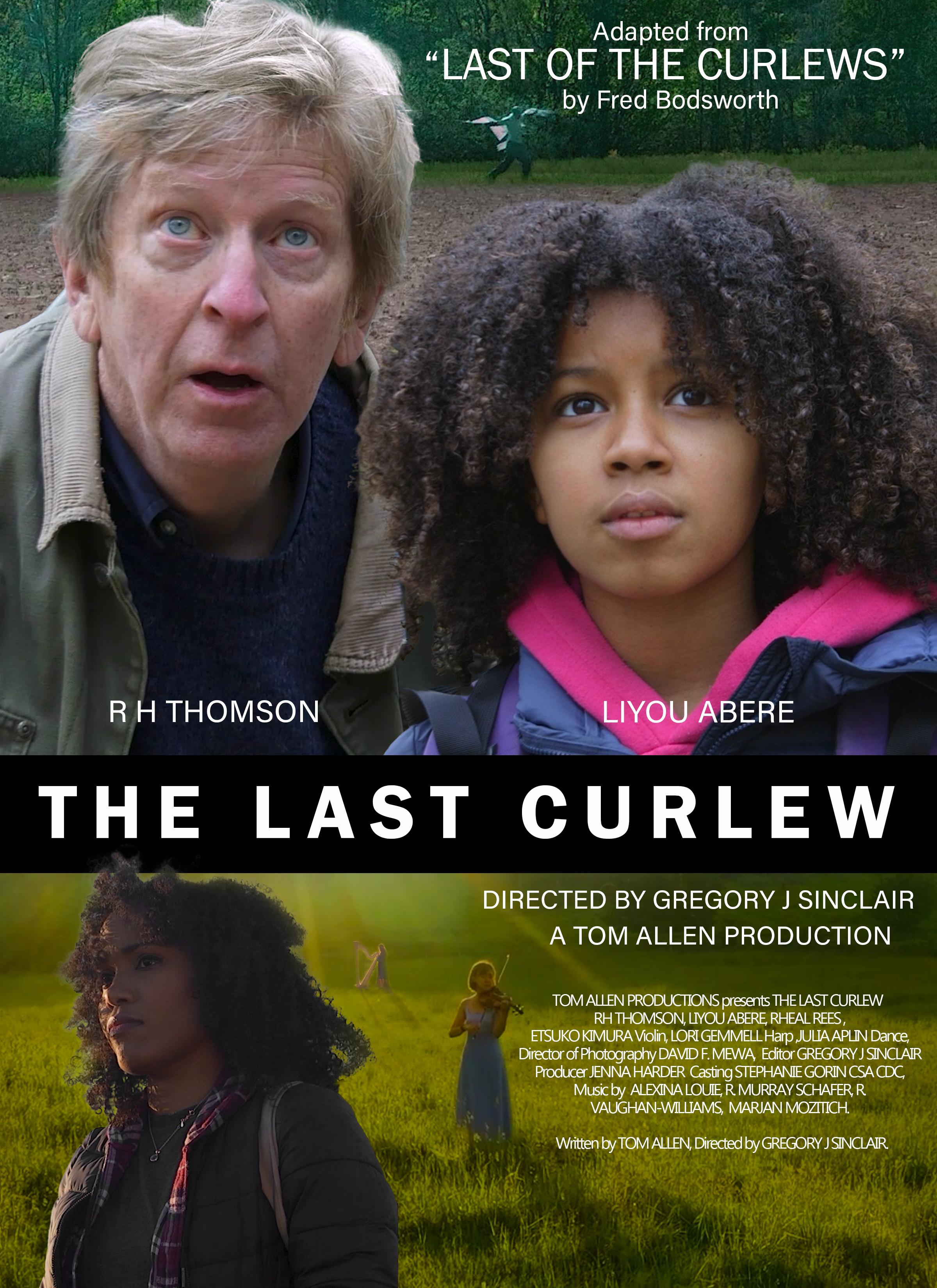 The Last Curlew