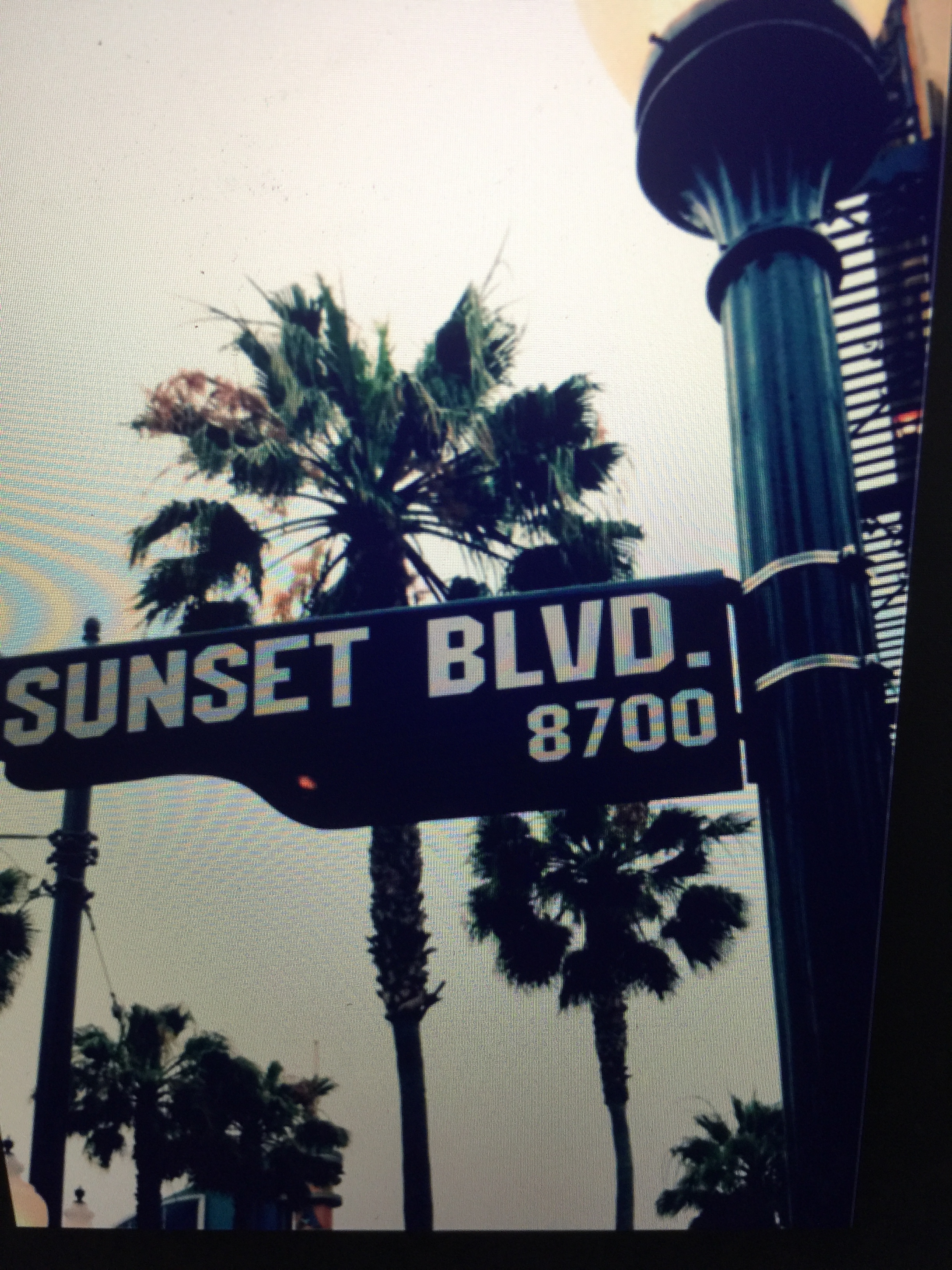 Boulevard Misfits