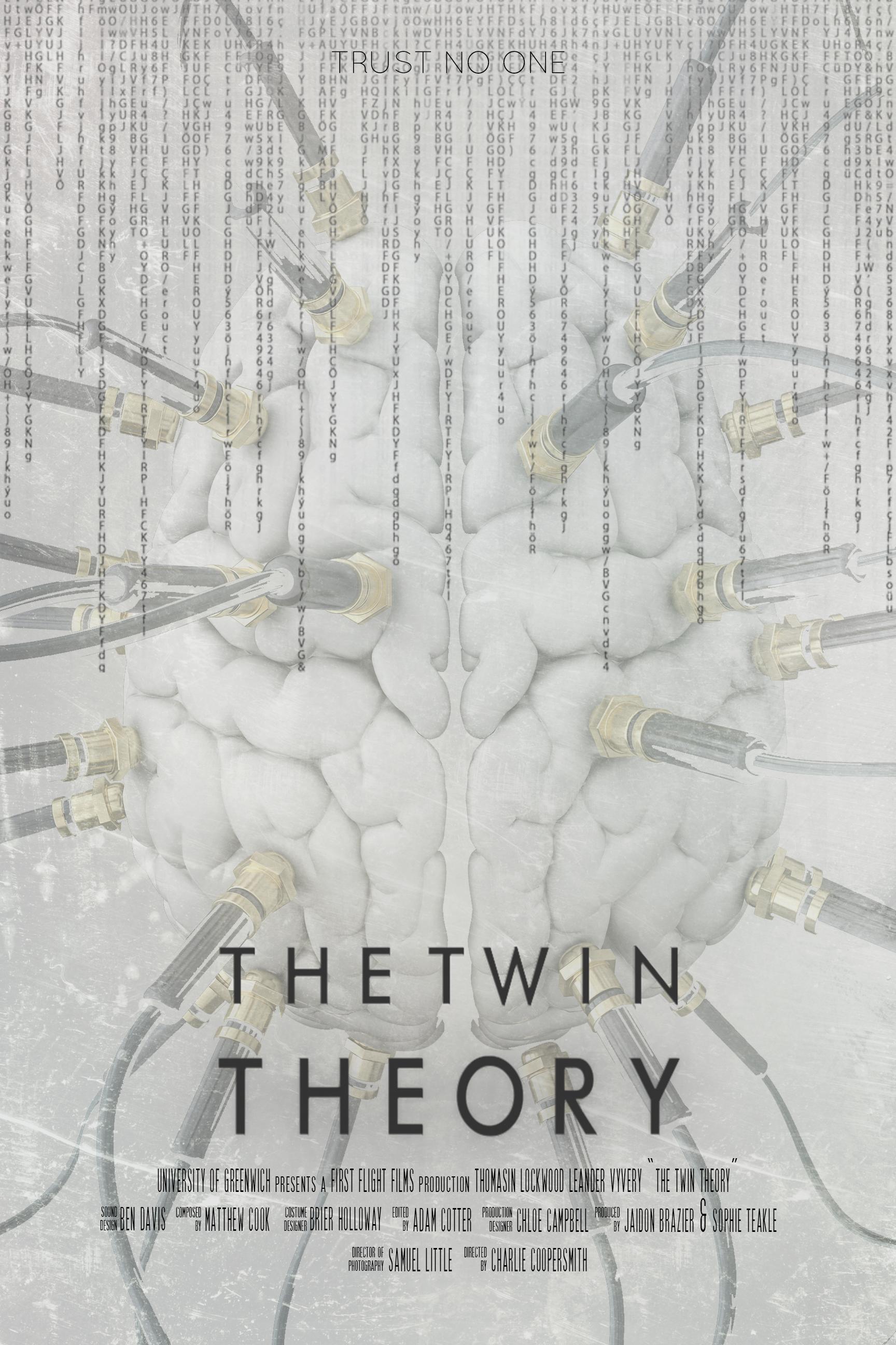 The Twin Theory