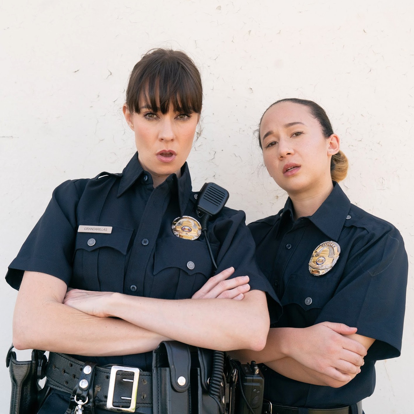 Cops Like Us