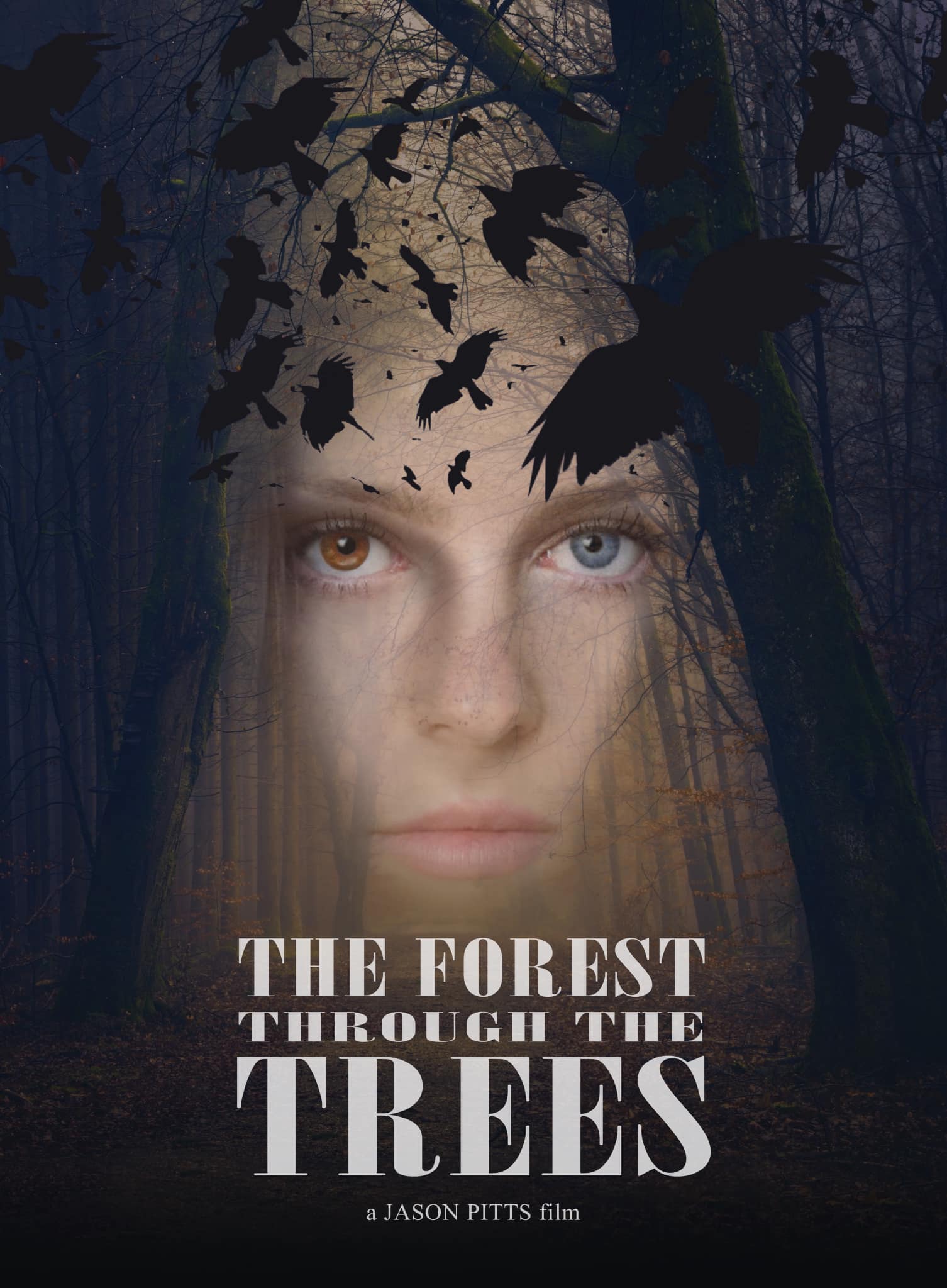 The Forest Through the Trees