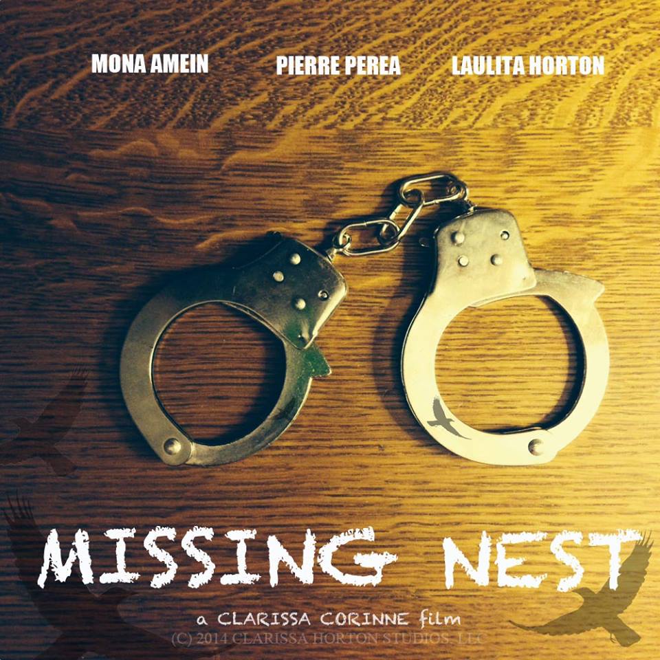 Missing Nest