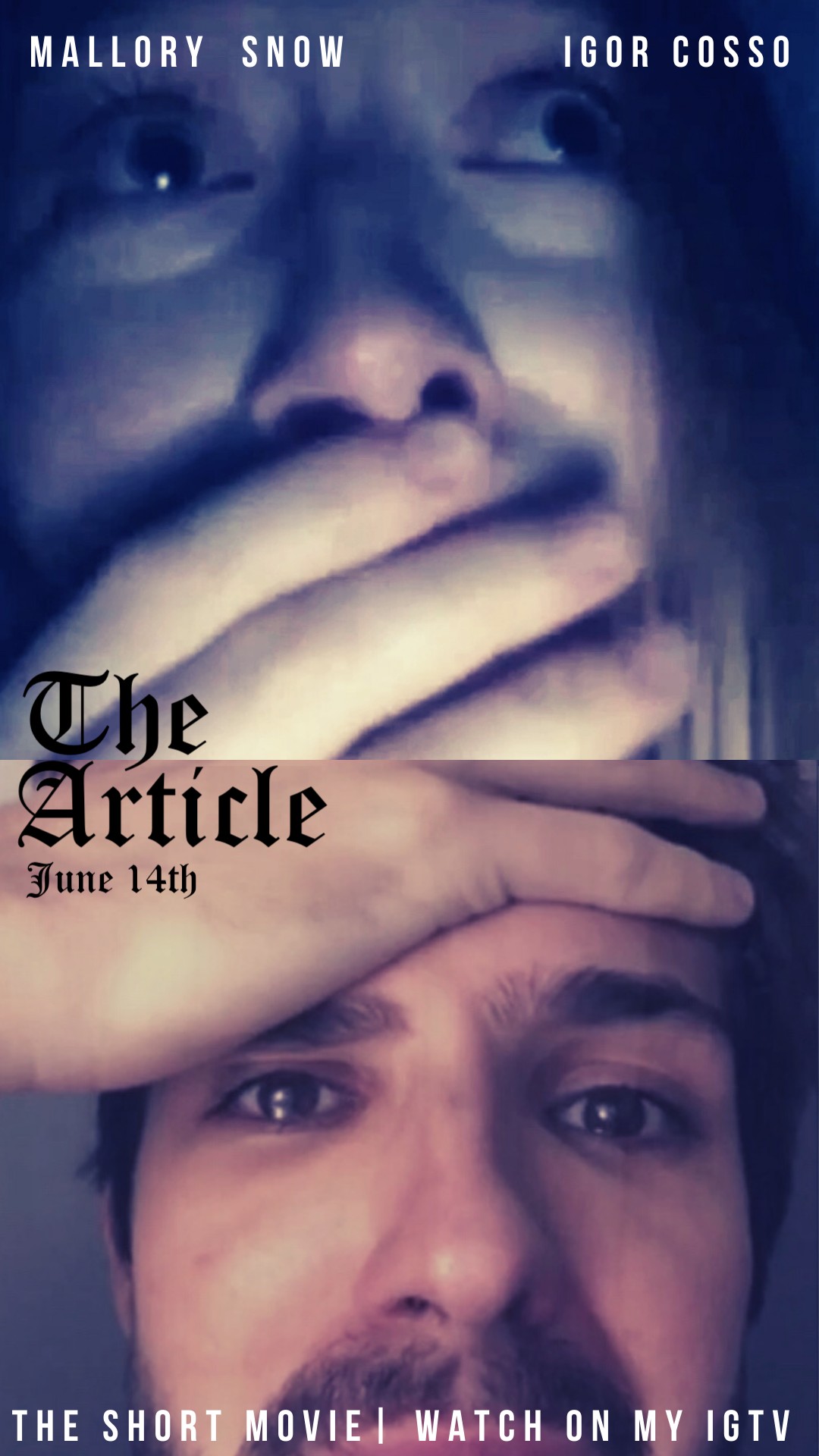The Article