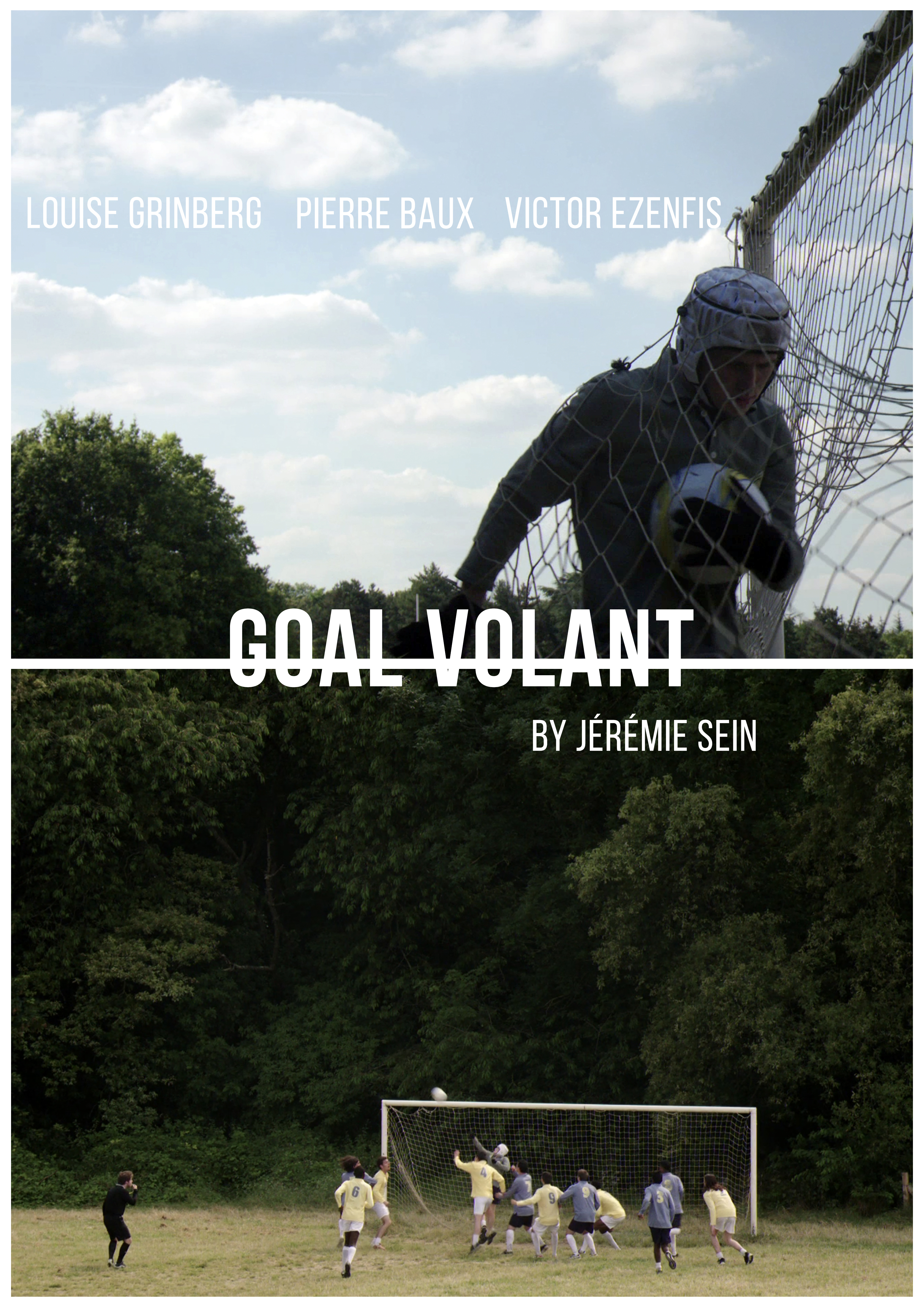 Goal volant