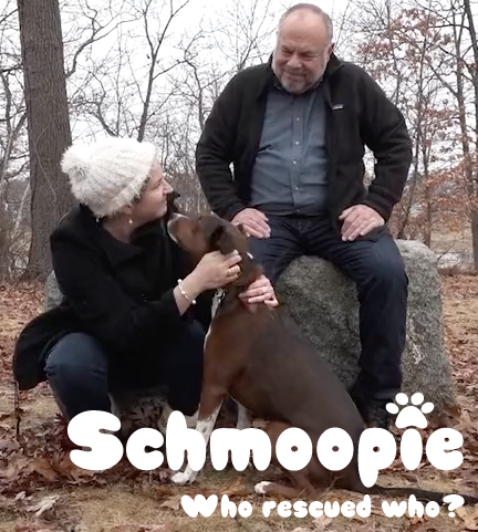 Schmoopie