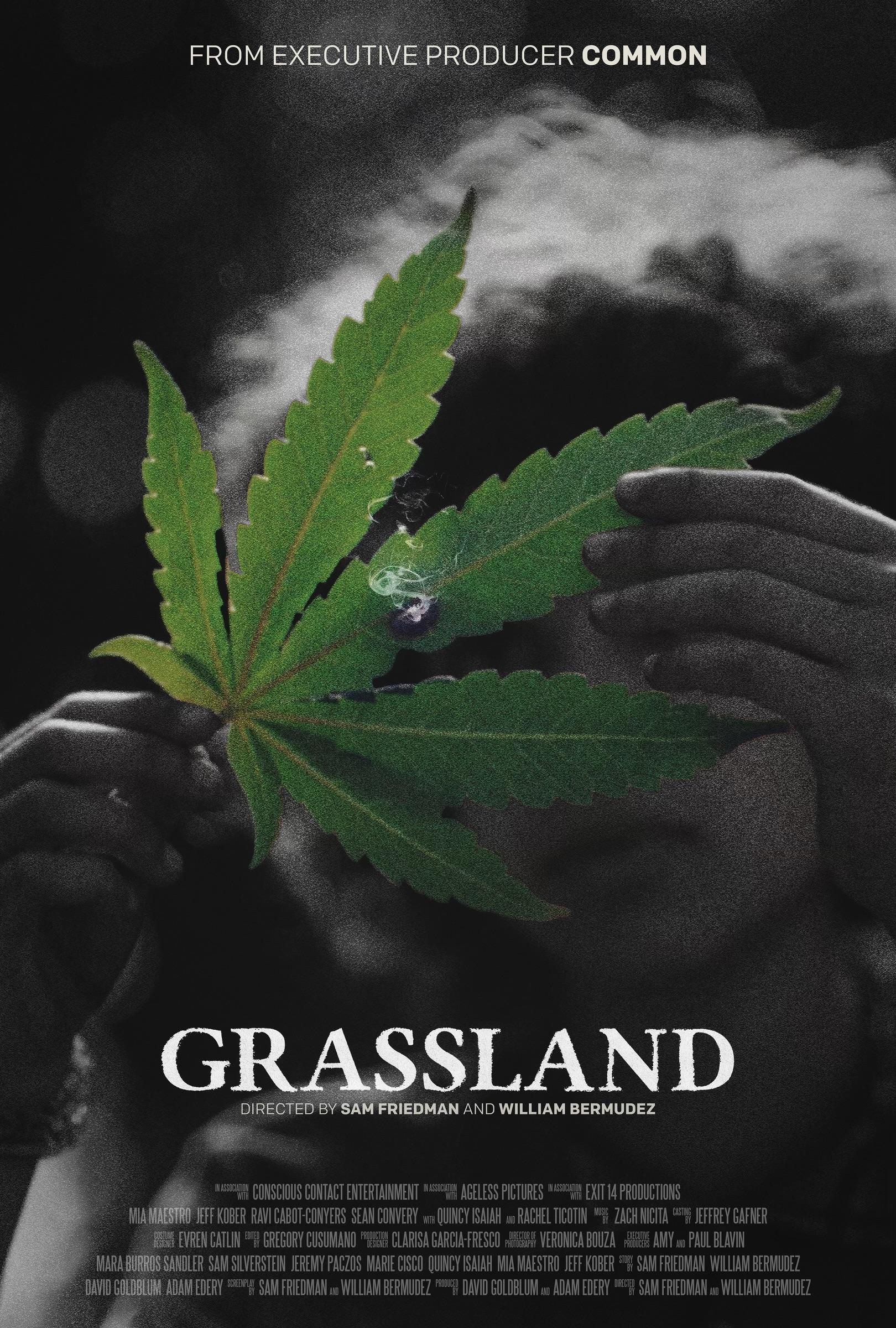 Grassland