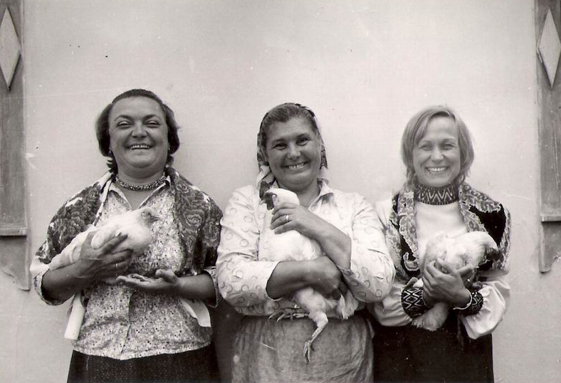 Zdes nam zhit