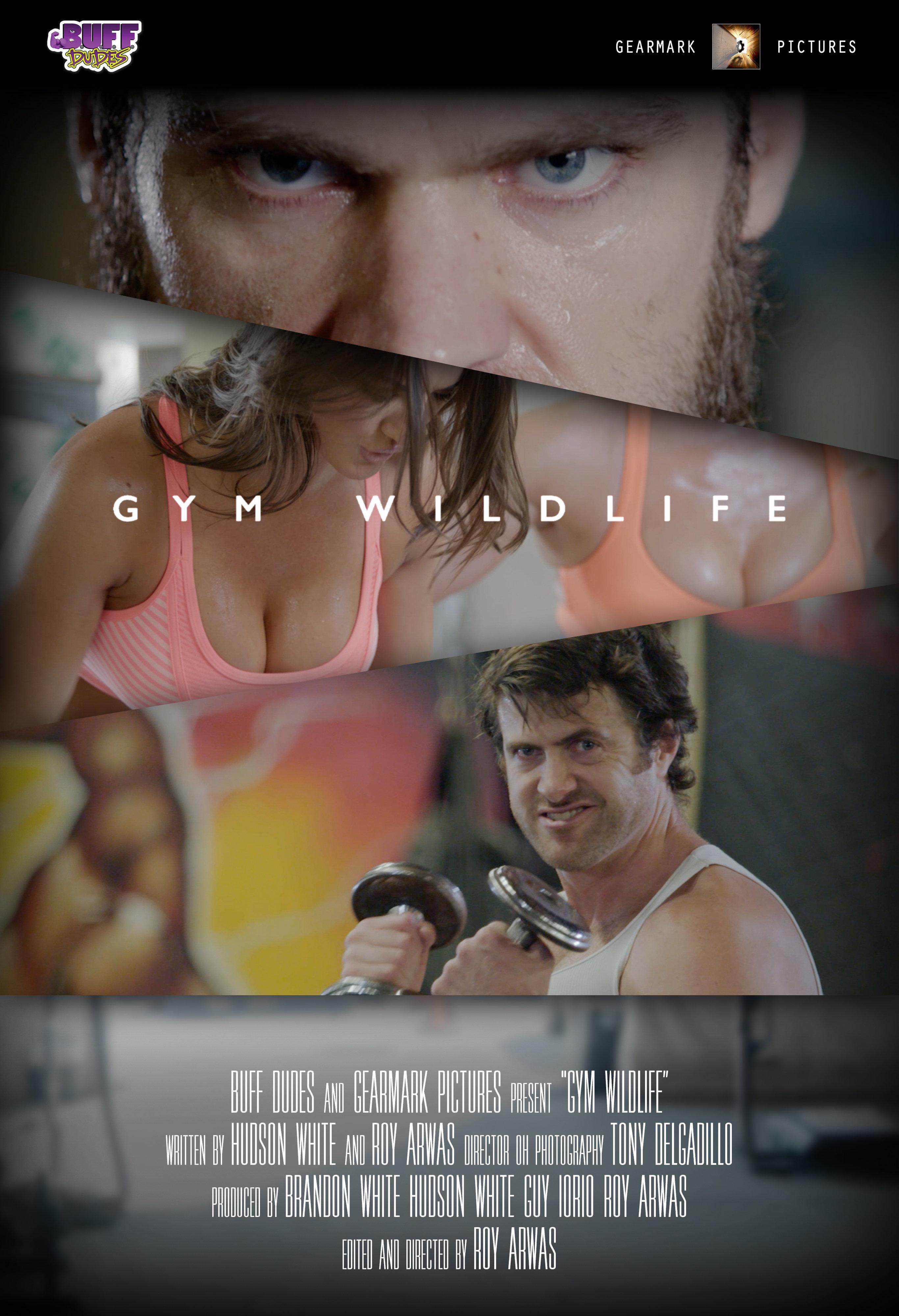 Gym Wildlife