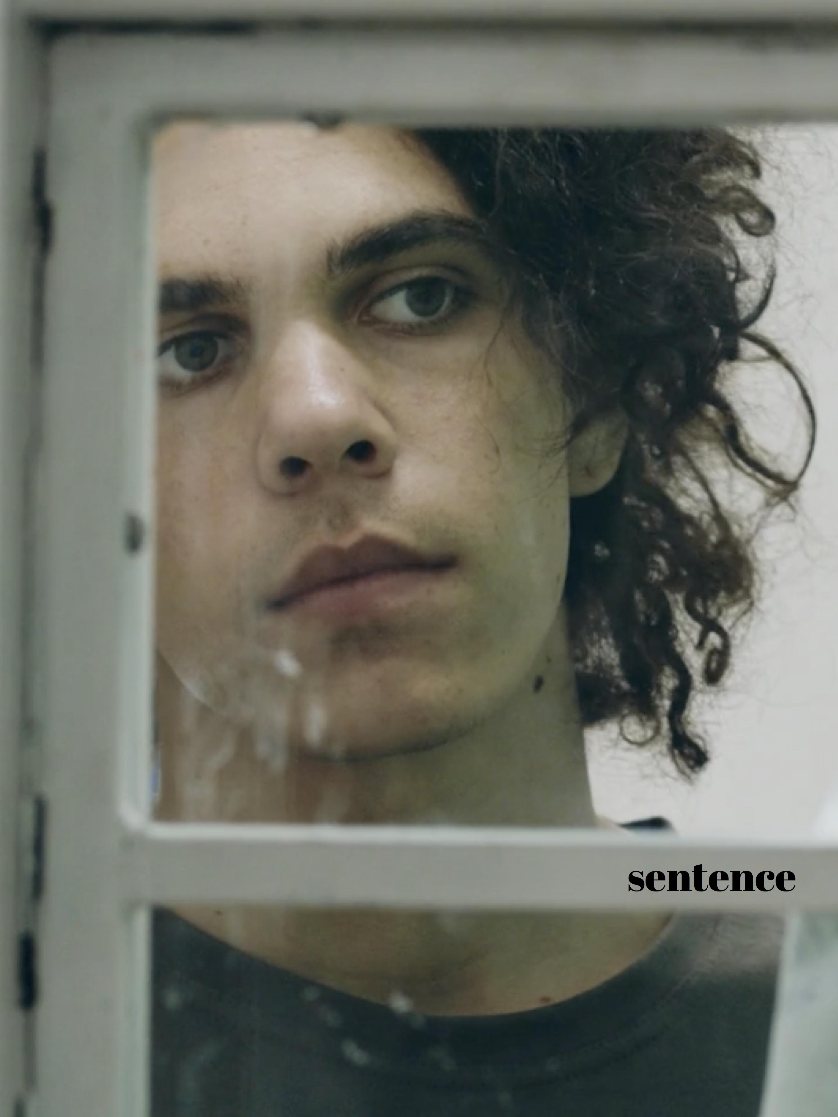 Sentence