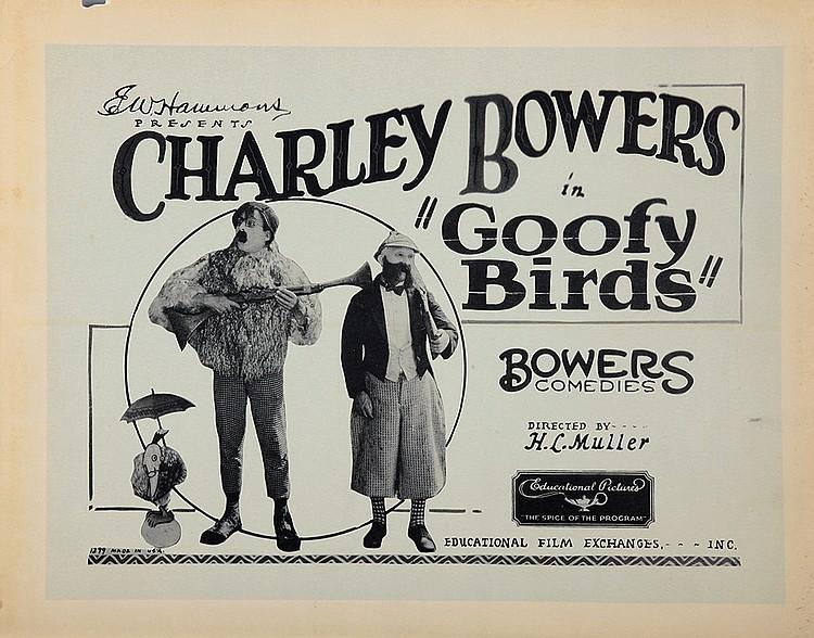 Goofy Birds