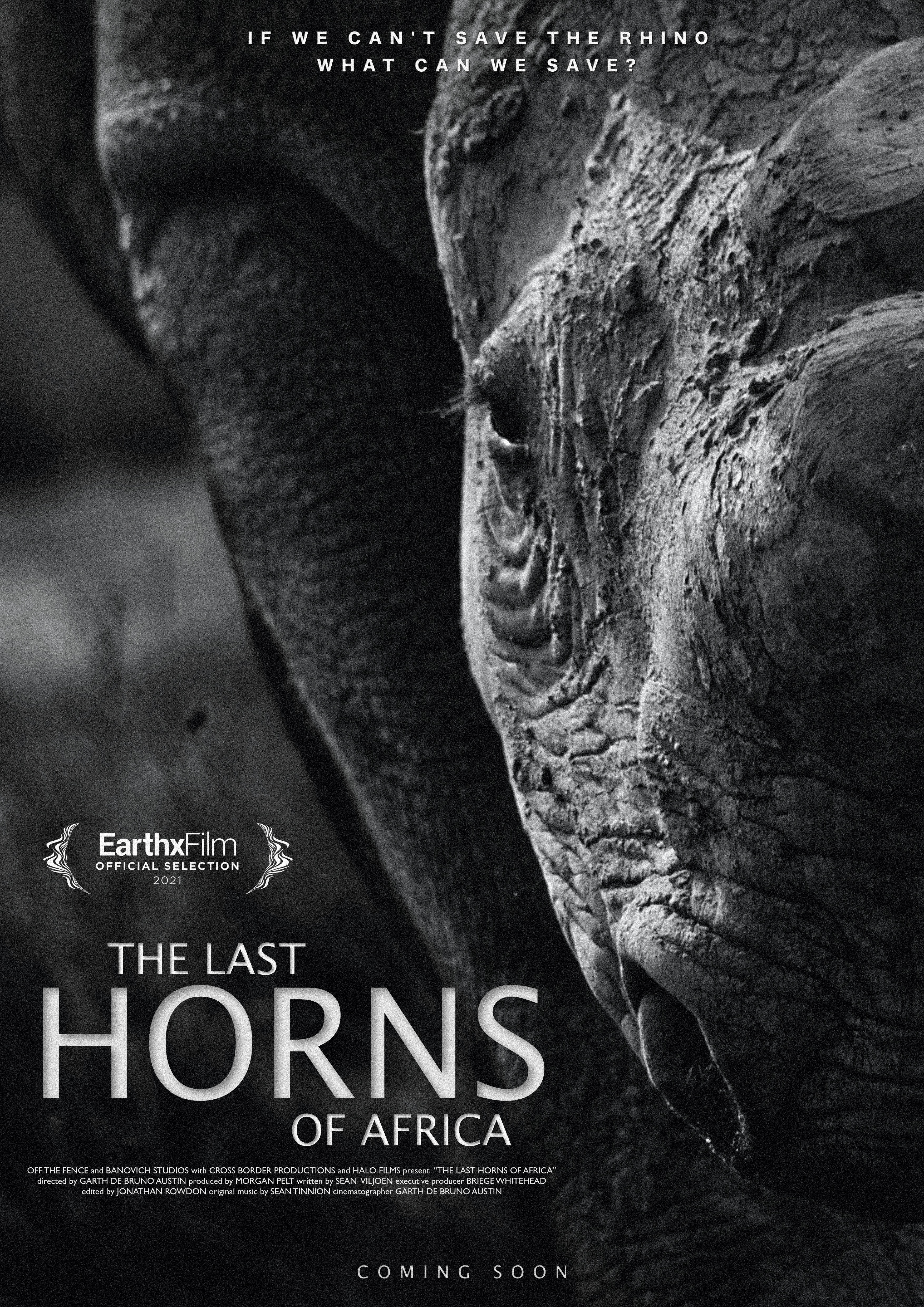 The Last Horns of Africa