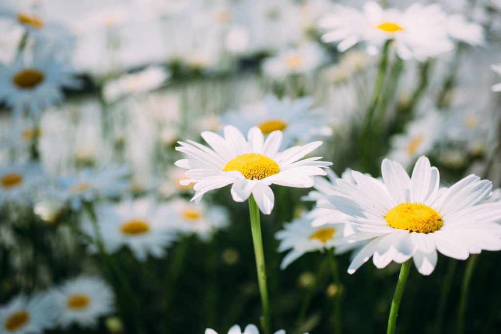 Recovery in Bloom – Diverse April Slate Delivers $1.8bn Global Box Office; Australia, Latin America Achieve Second Best Pandemic Results