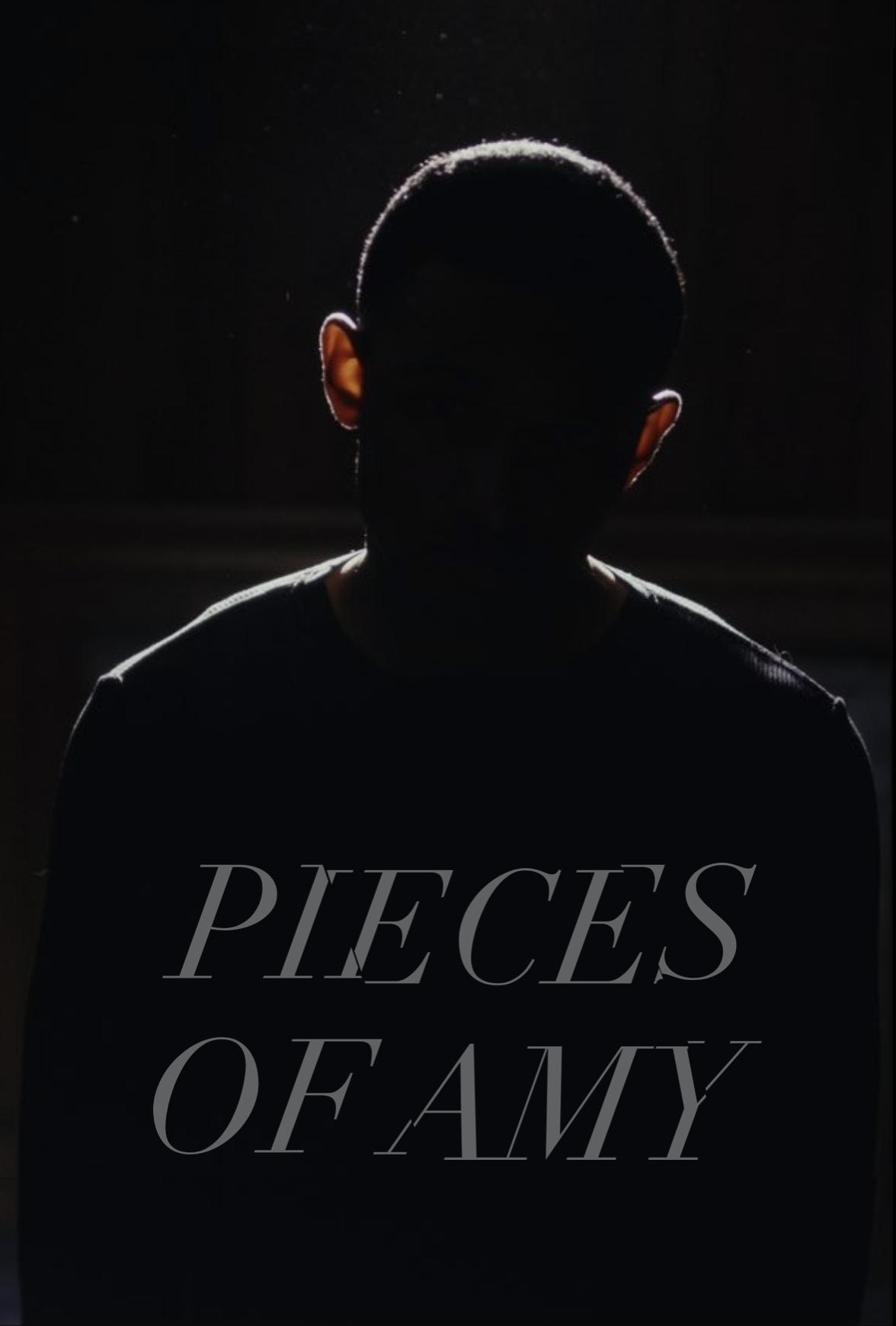Pieces of Amy