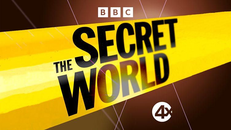 The Secret World