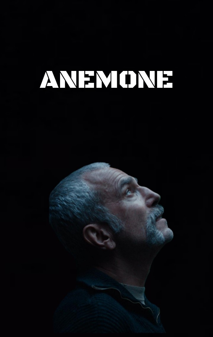 Anemone