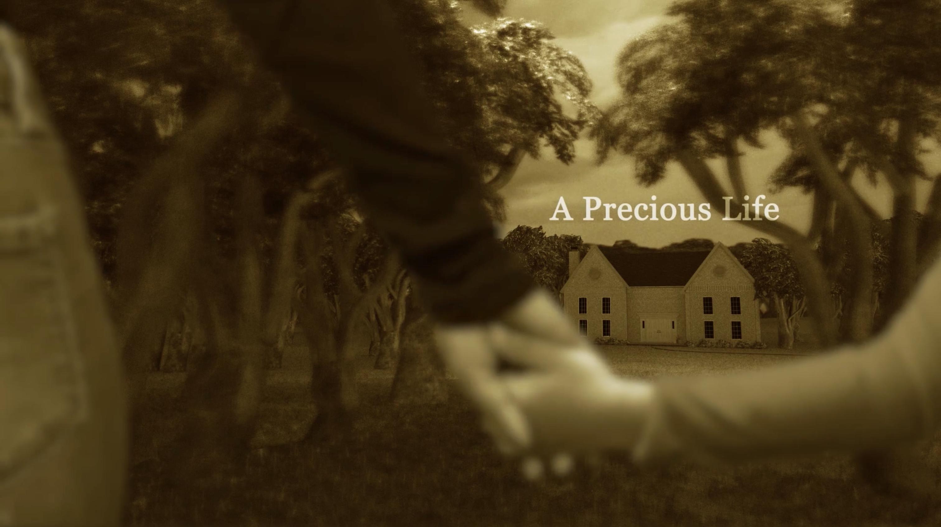 A Precious Life