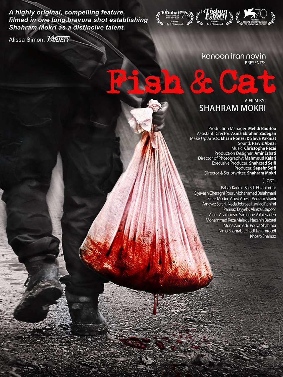Fish & Cat