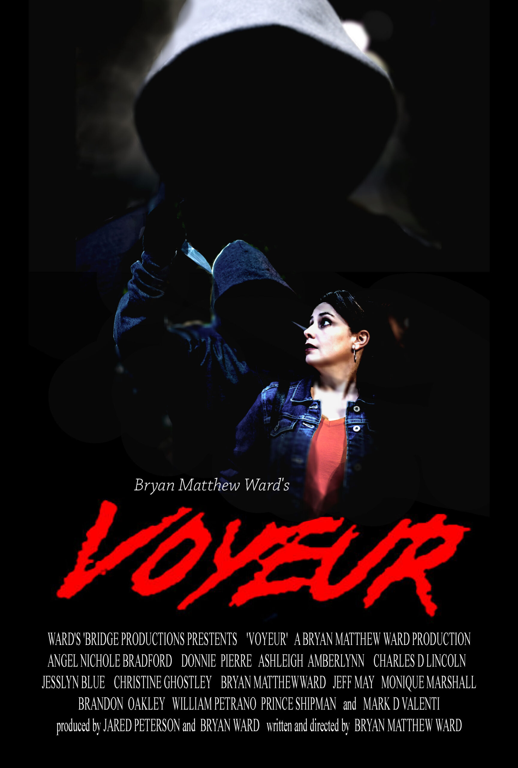 Bryan Matthew Ward's Voyeur