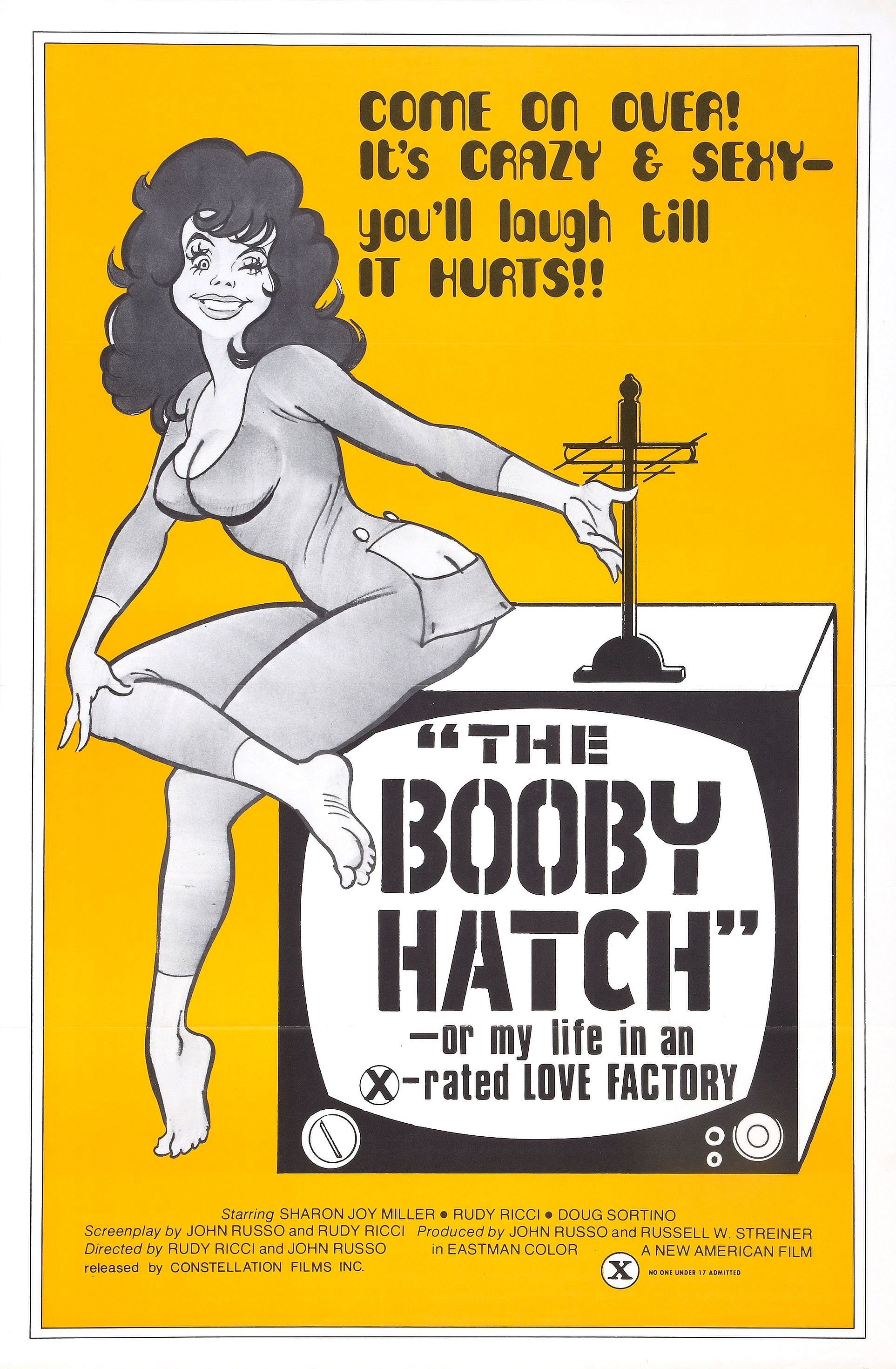 The Liberation of Cherry Janowski