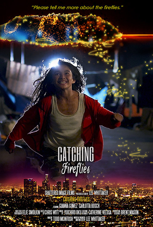 Catching Fireflies