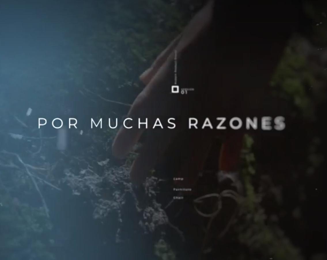 Por muchas razones