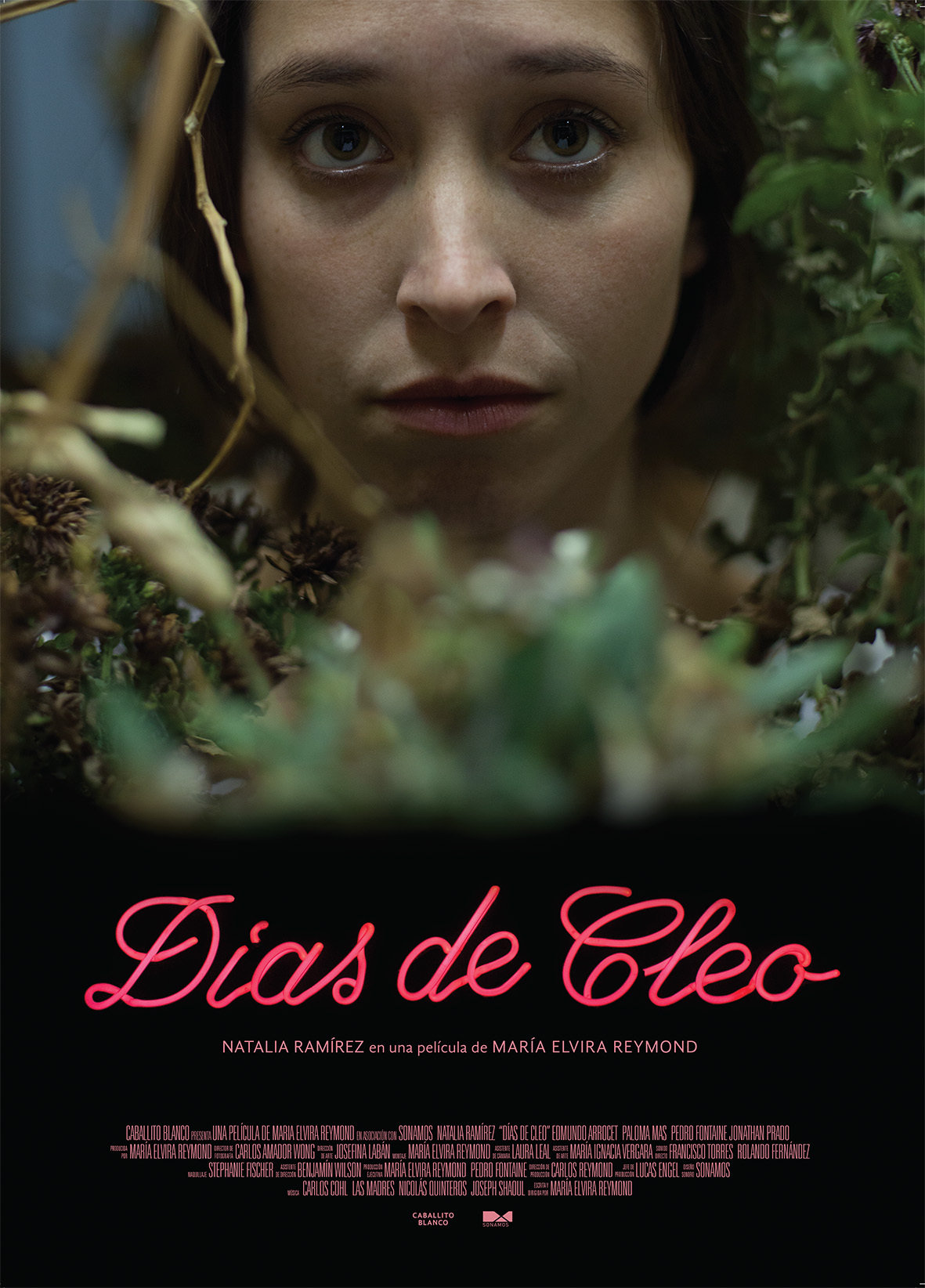 Days of Cleo