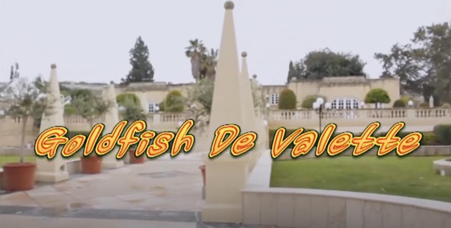 Goldfish De Valette