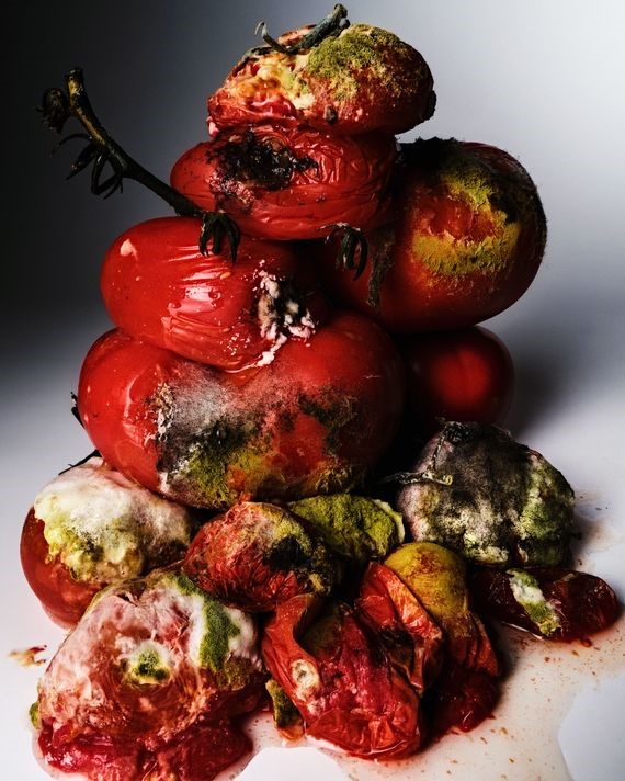 The Decomposition of Rotten Tomatoes