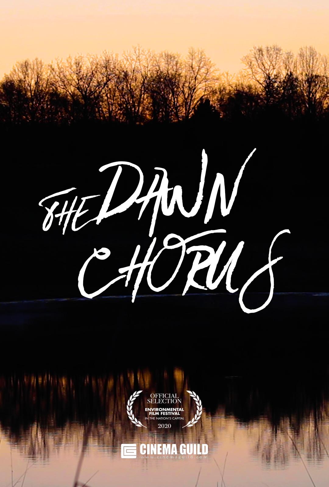 The Dawn Chorus