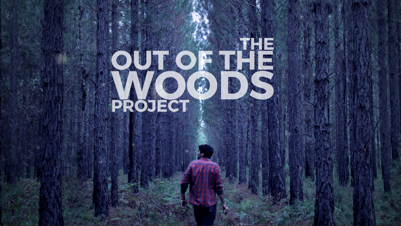 Out of the Woods