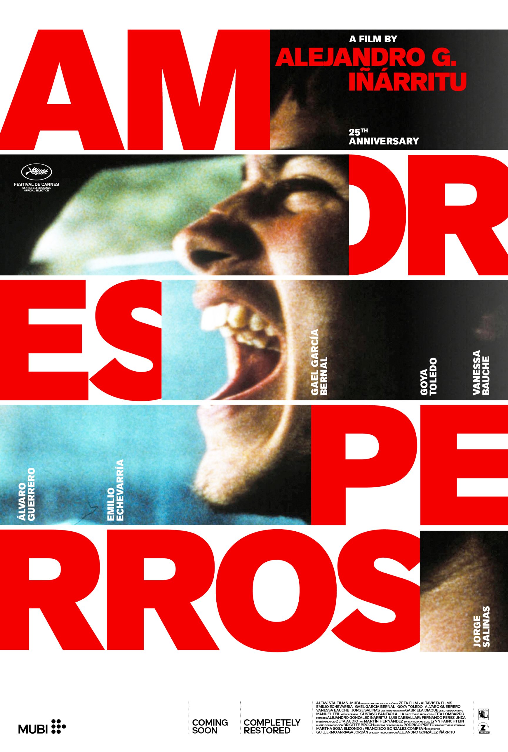 Amores Perros