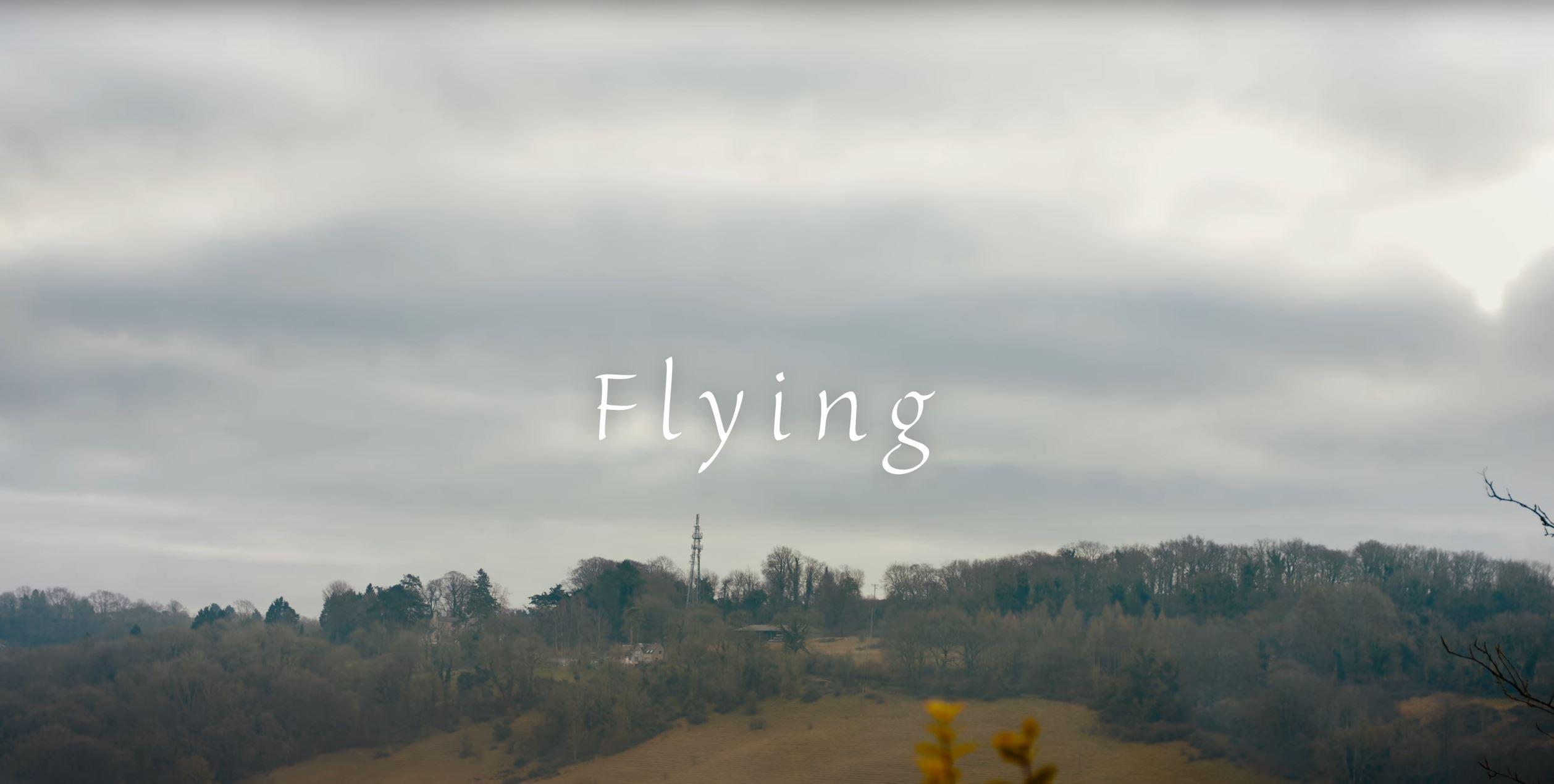 Flying