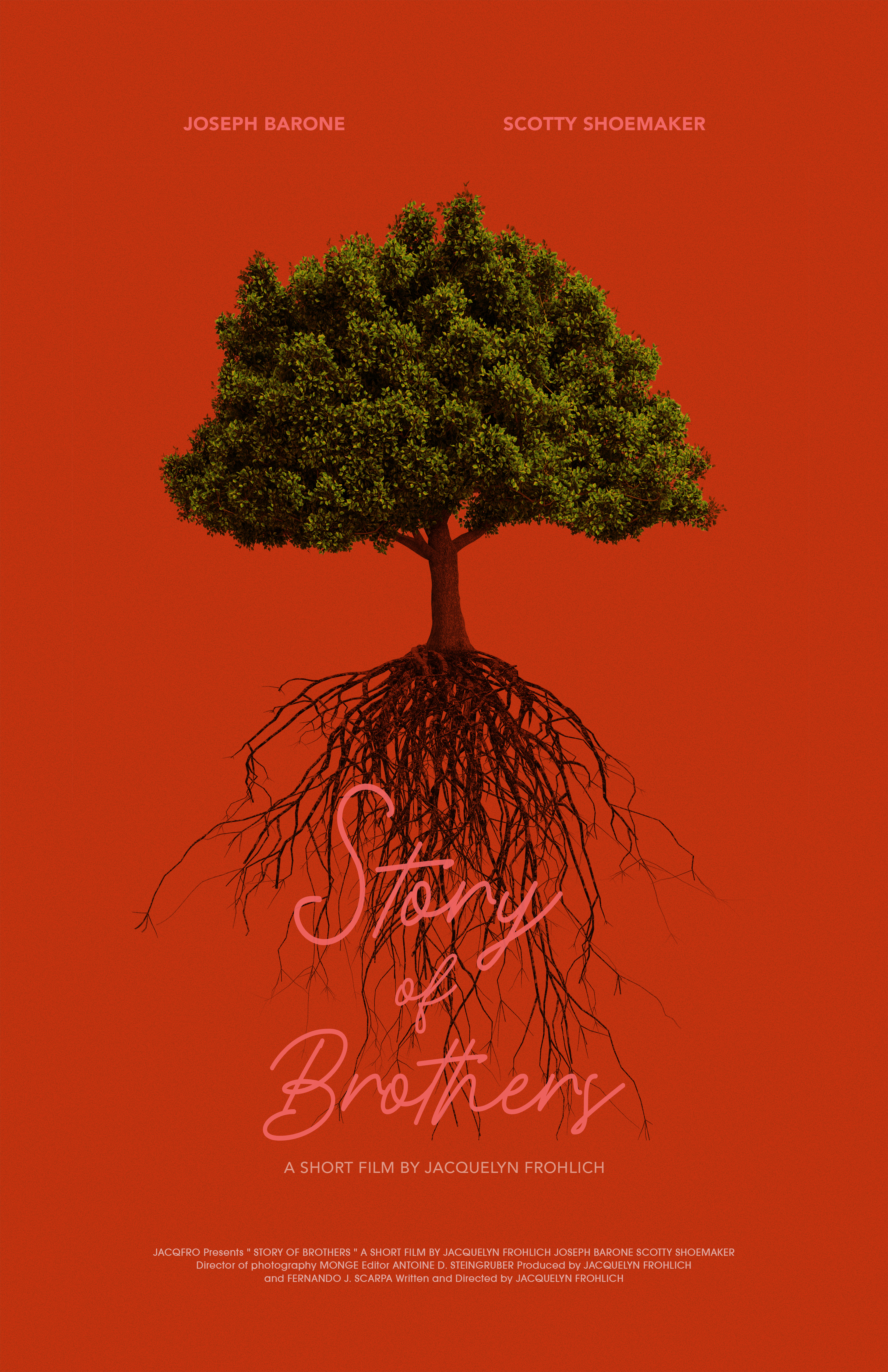 Story of Brothers