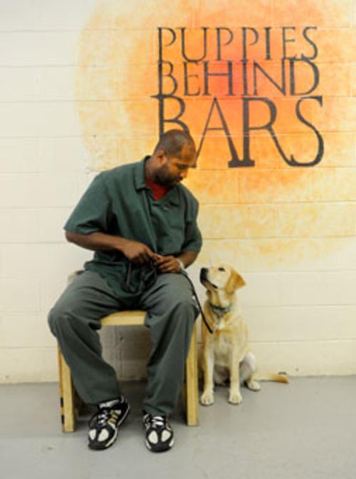 Puppies Behind Bars