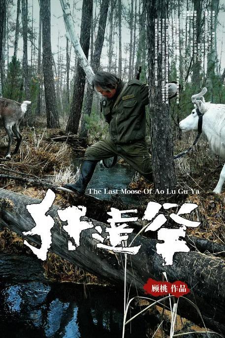 The Last Moose of Aoluguya