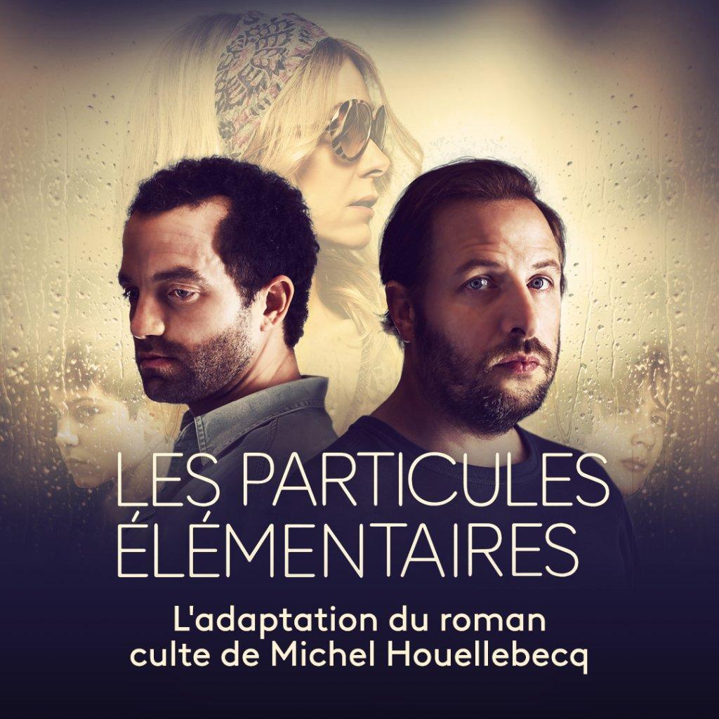 Les Particules élémentaires