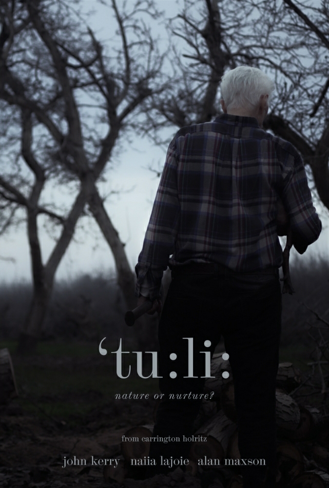 'tu: li: