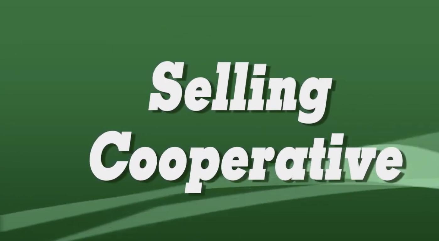 Selling Cooperative