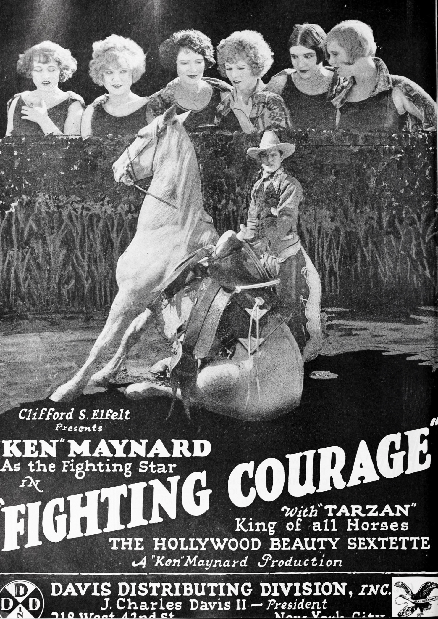 Fighting Courage