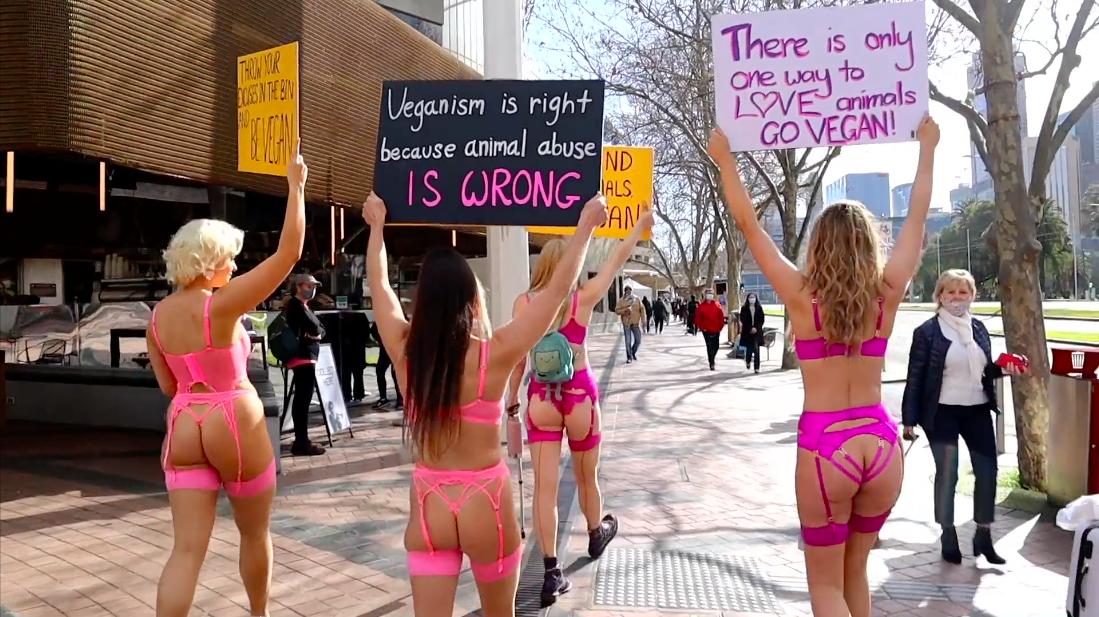 The Lingerie Protest