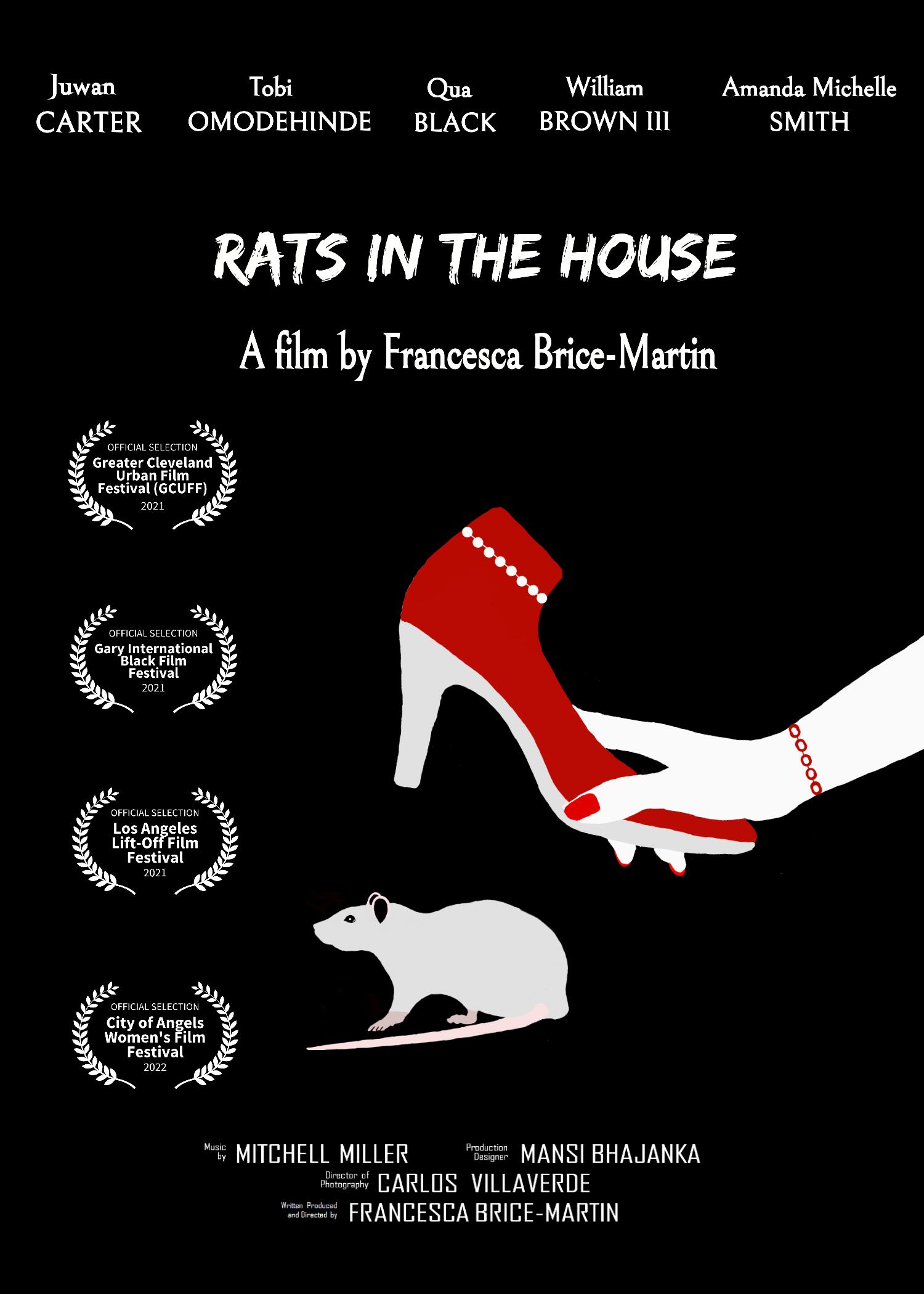 Rats in the house