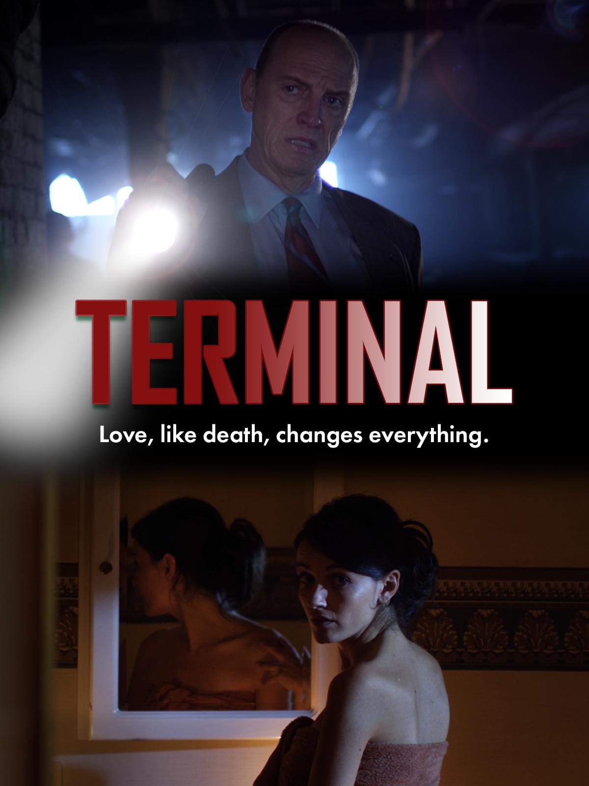 Terminal