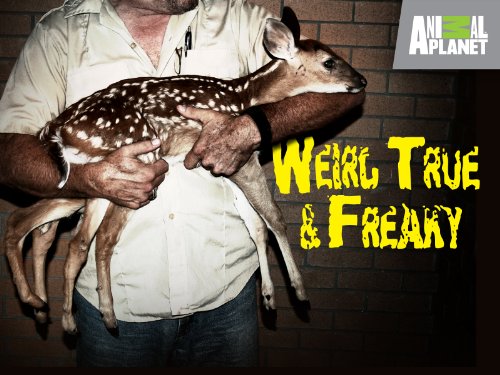 Weird, True & Freaky